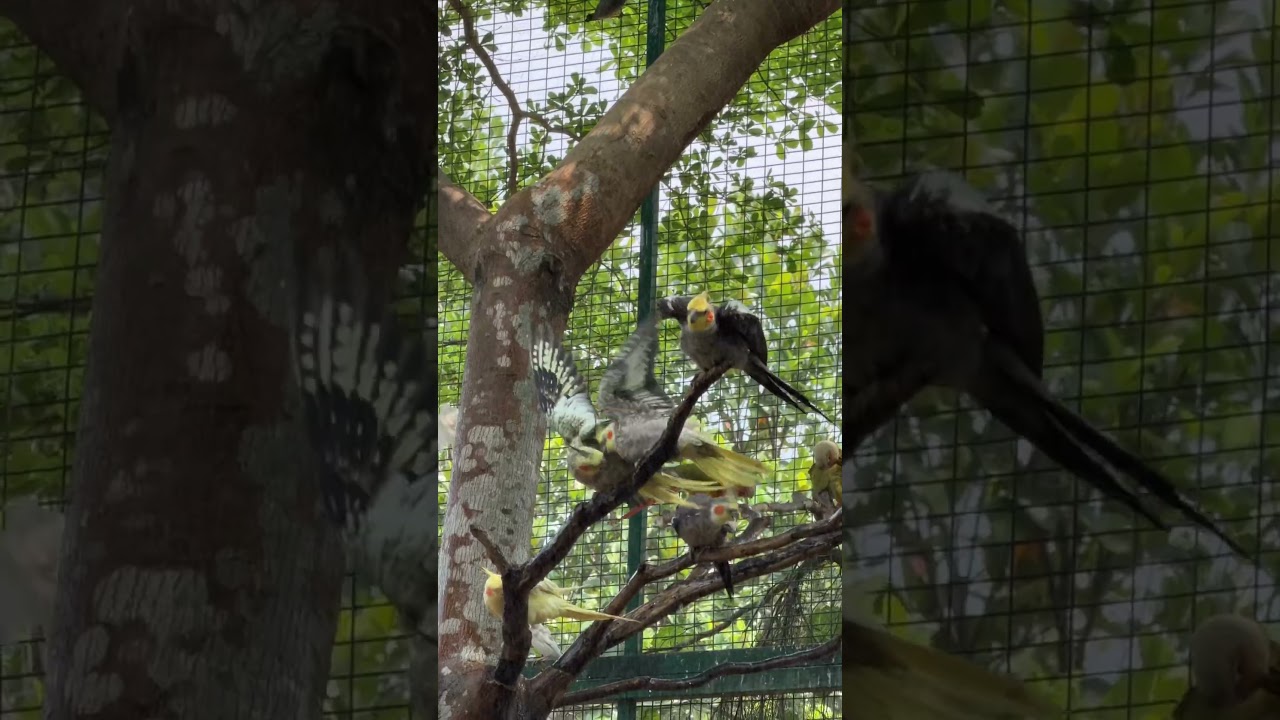 നല്ല മഴ… ആഹാ അടിപൊളി