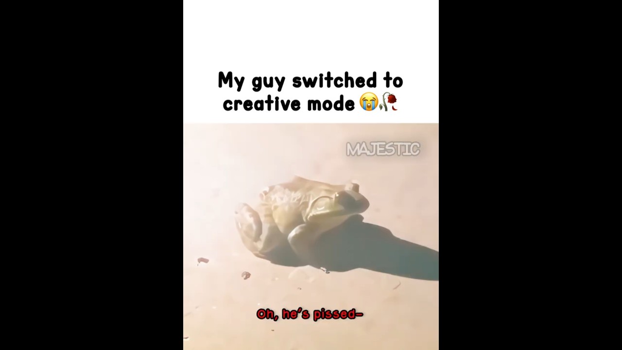 #dialogue