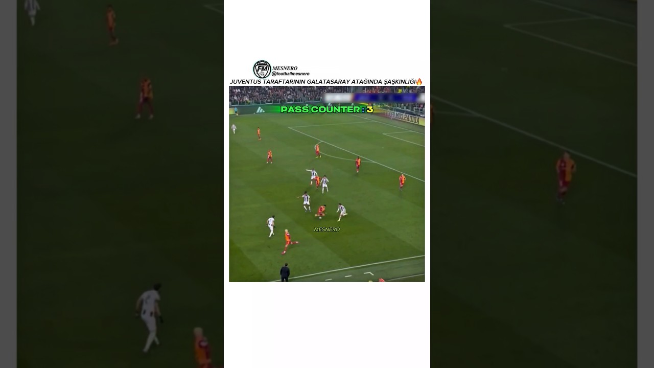 Taraftarın Tepkisi🤩