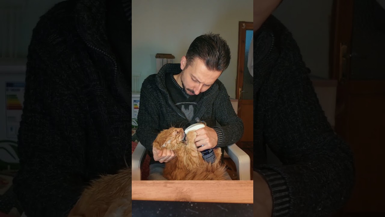 SIĞINMAK, İHTİYAÇTIR. 💔 #shorts