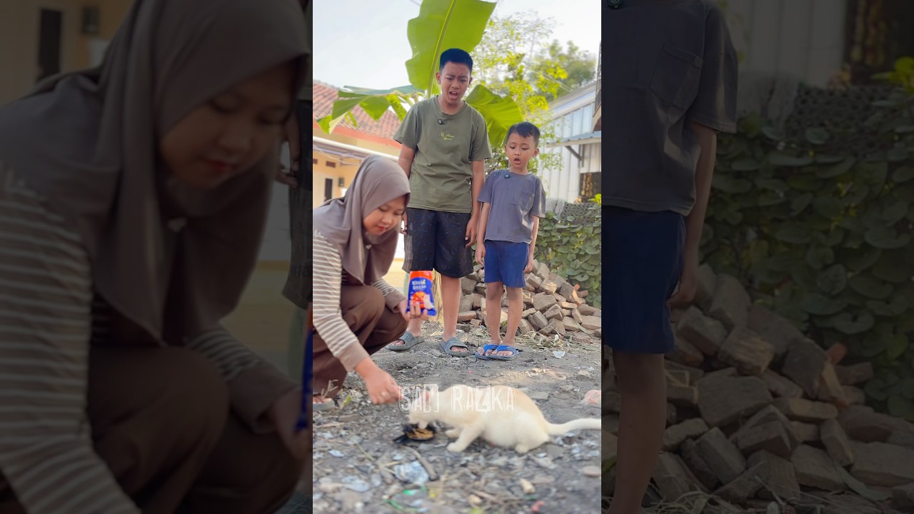 Dikira snack ternyata makanan kucing#shorts