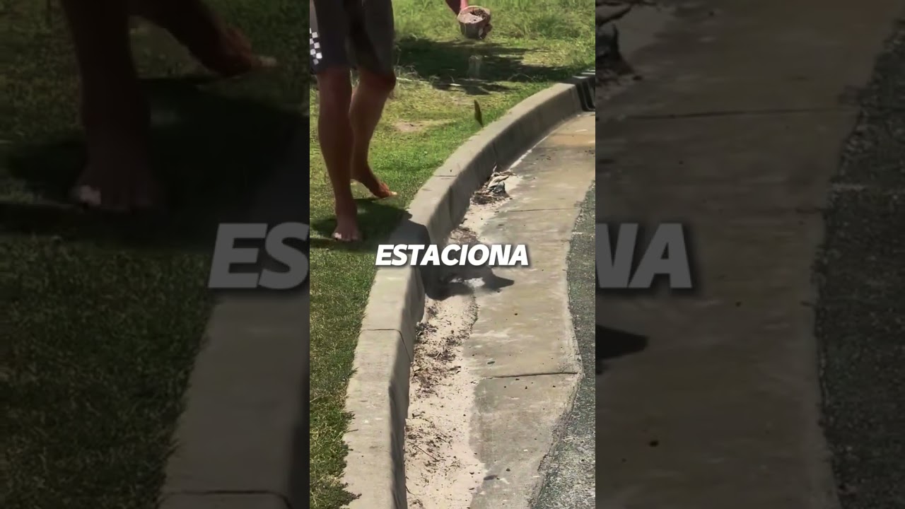 Esse truque pra estacionar é genial (mas não tente fazer isso!)