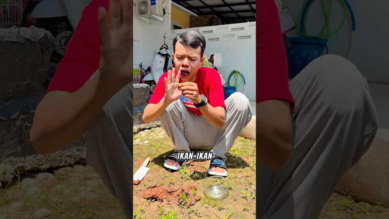 IKAN LATIP MATI 😭 || Latip komedi