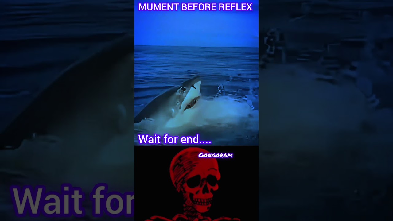#edit
