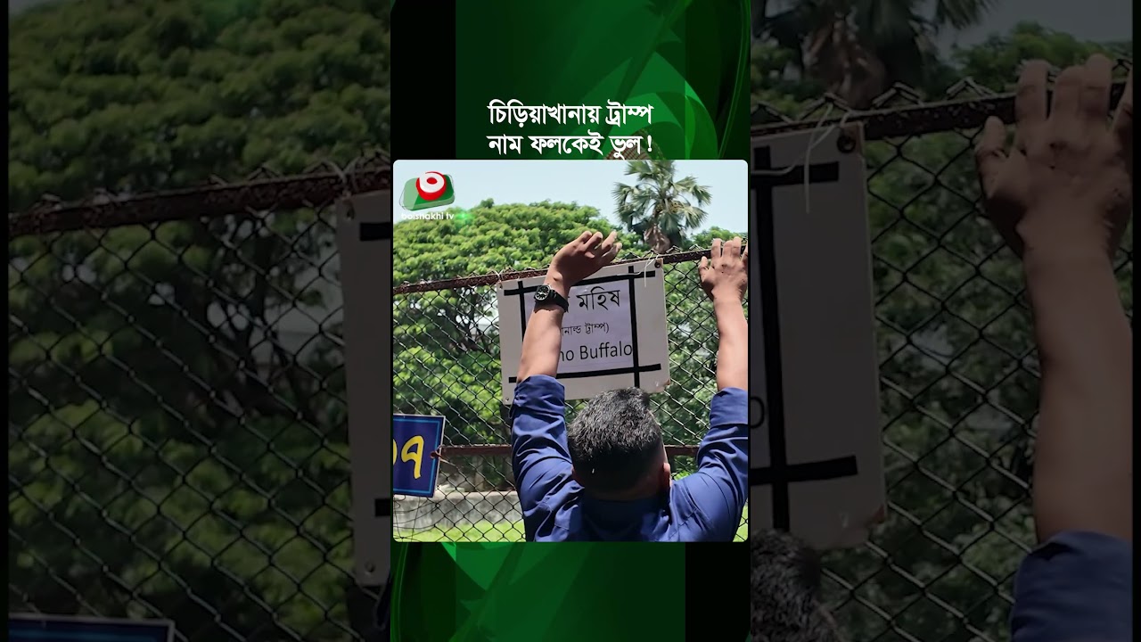 ভাইরাল সাদা মহিষ নিয়ে দর্শনার্থীদের হাসাহাসি, সমালোচনায় চিড়িয়াখানা কর্তৃপক্ষ Buffalo | Trump at Zoo