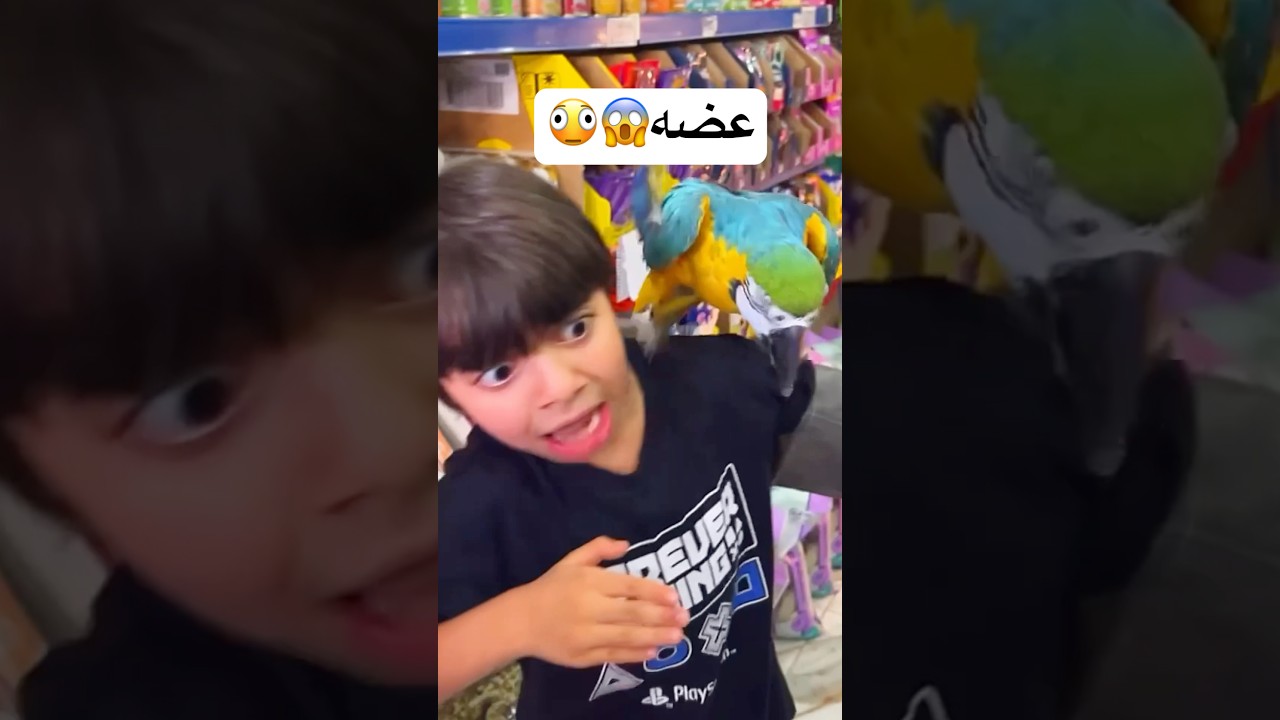 الببغاء المتكلم عضه😱😳