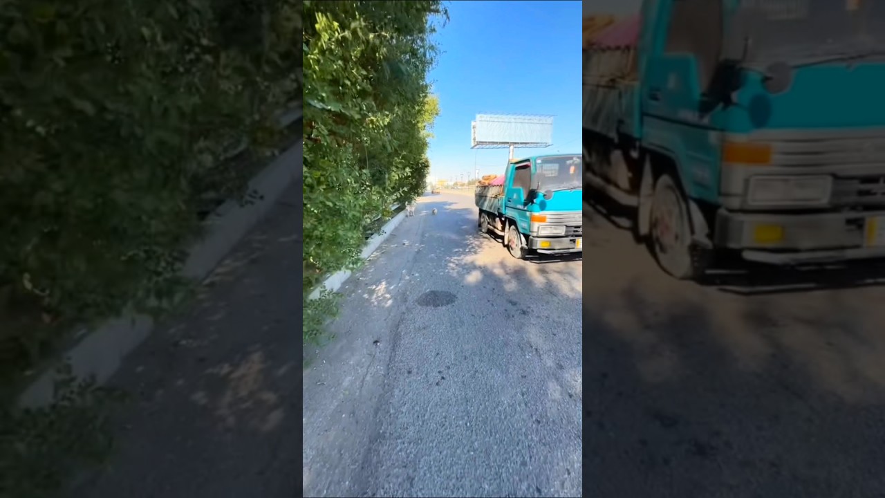شاب عراقي ينقذ كلب زينة من تحت السيارة في اللحظة الاخيرة شاهدوا الإنسانية في العراق🥺❤