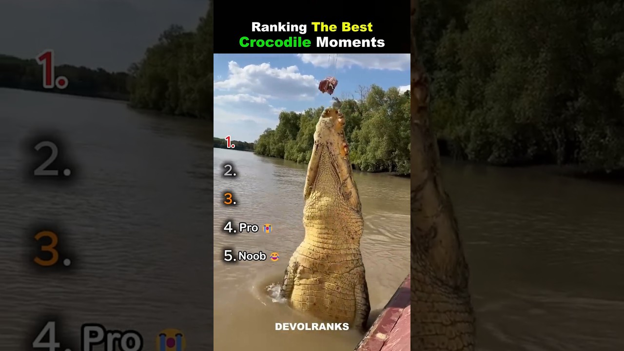 Ranking The Best Crocodile Moments