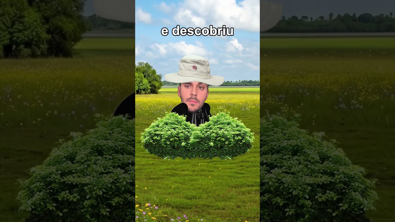 Abelhas coloridas? 😨