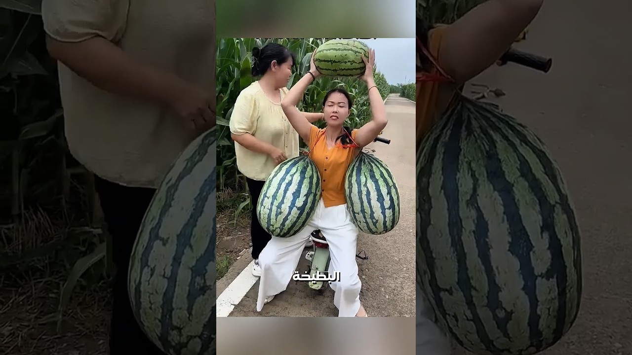 البطيخة على الرأس والموتوسيكل ماشي! 😂🍉🔥