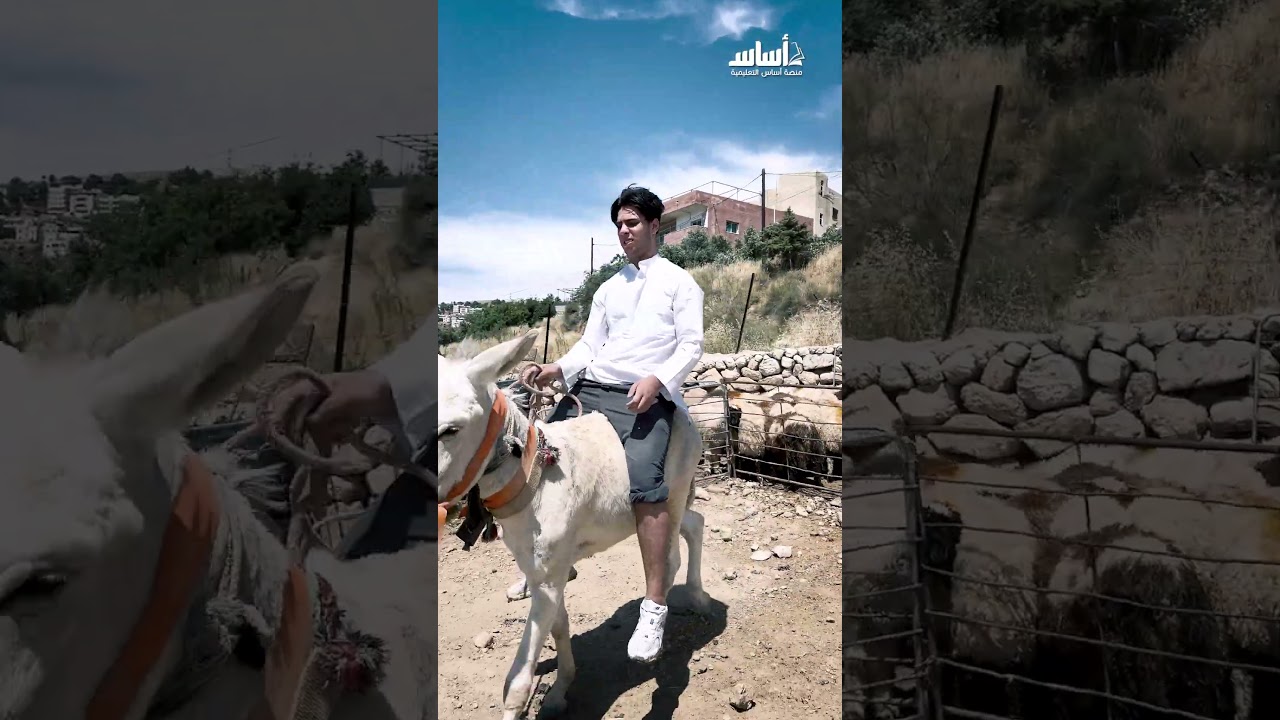 تجهيزات العيد في منصتنا تبدأ من إحياء السُنّة ومشاركة تفاصيل الخير معكم 🐑 #shorts