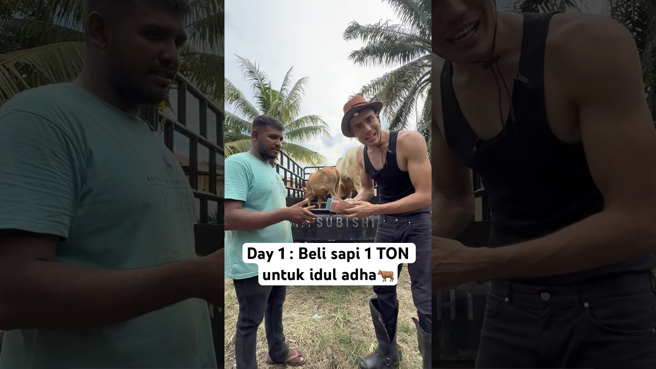 Day 1 : Beli sapi qurban 1 TON 100 juta🔥 #aisarkhaled #iduladha #qurban