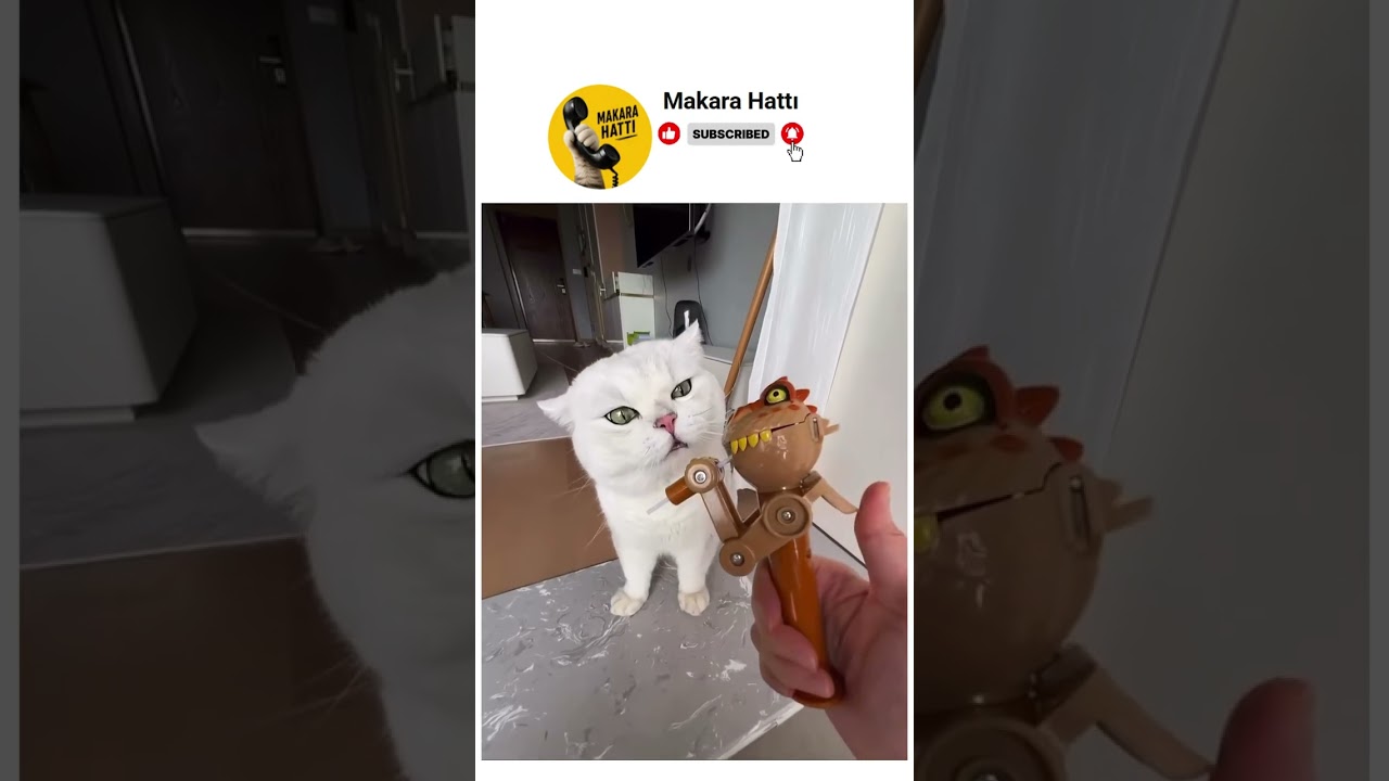 bu sıralar tahammül seviyem😂