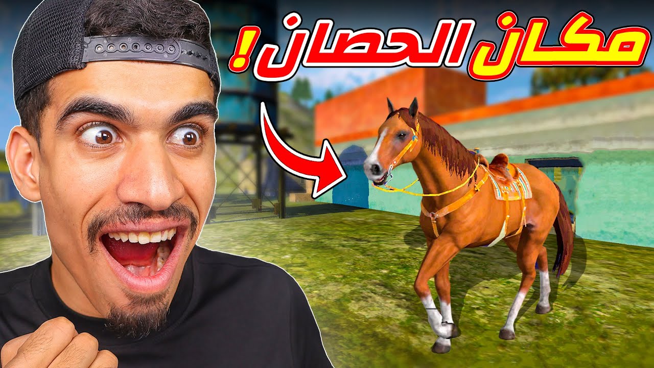 اخيرا وجدت مكان الحصان !!