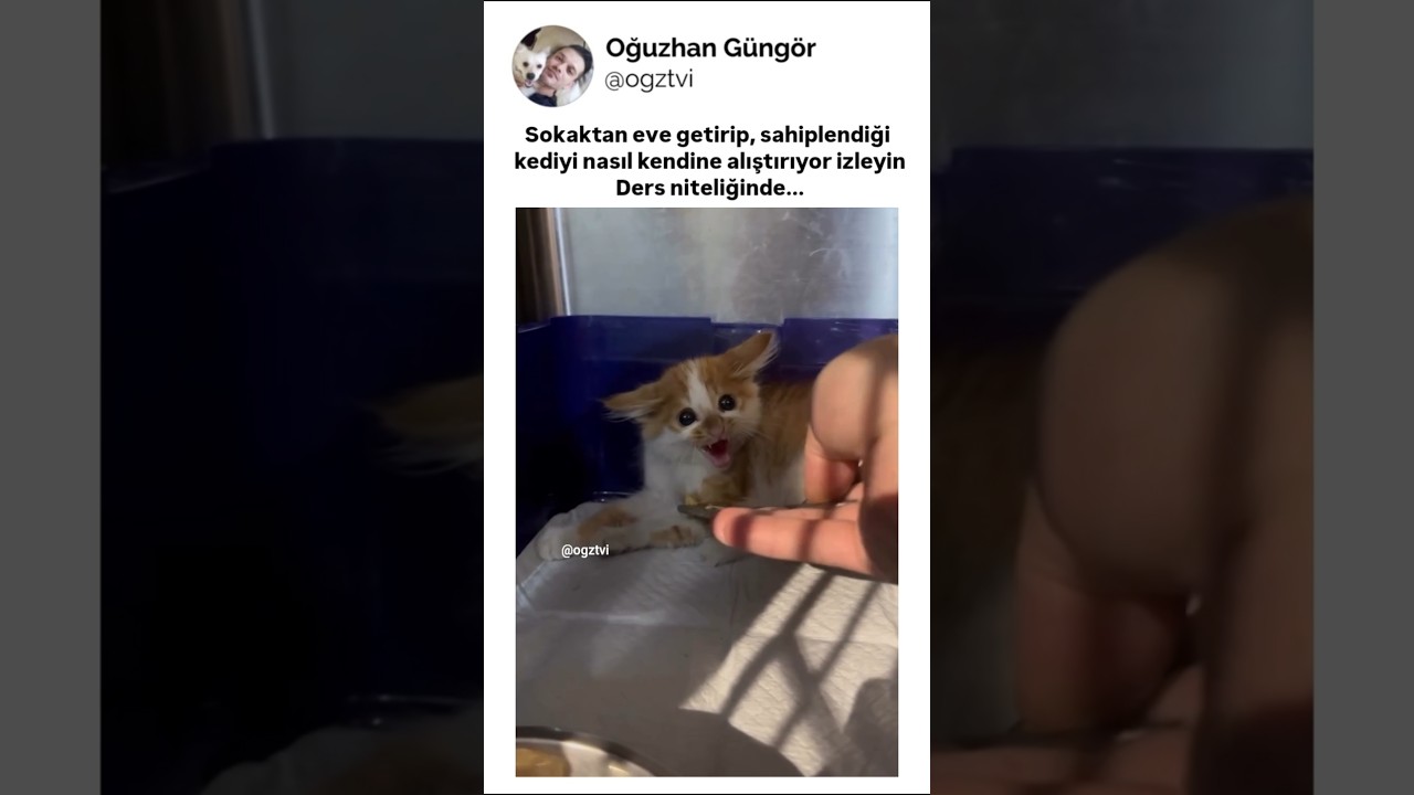 Ders niteliğinde yaklaşım