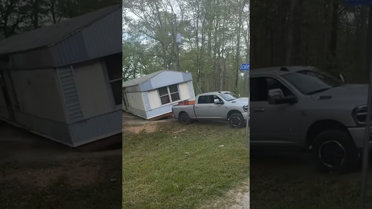 The tings you see when you live in the country 😂 #country #laugh #sub #cobyhay #short