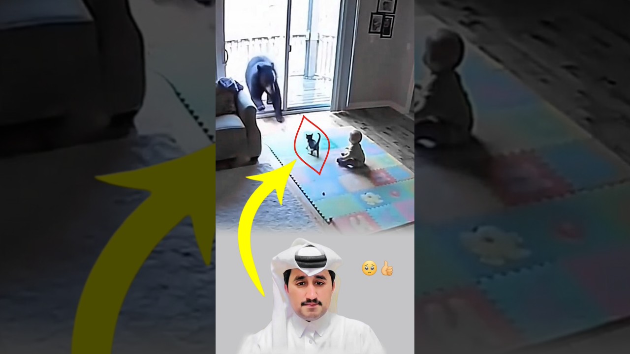 "The monster was a step from the child… the cat jumped fearlessly!🥺👍🏻#like #viral #trending #shorts