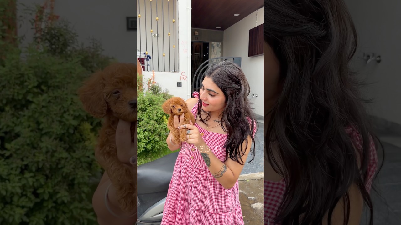 Cash🐶 नें खोली सबकी पोलपट्टी😂 #youtubeshorts #shorts #kajalsoni #shortvideos @K@Kajalsoni_vlogs