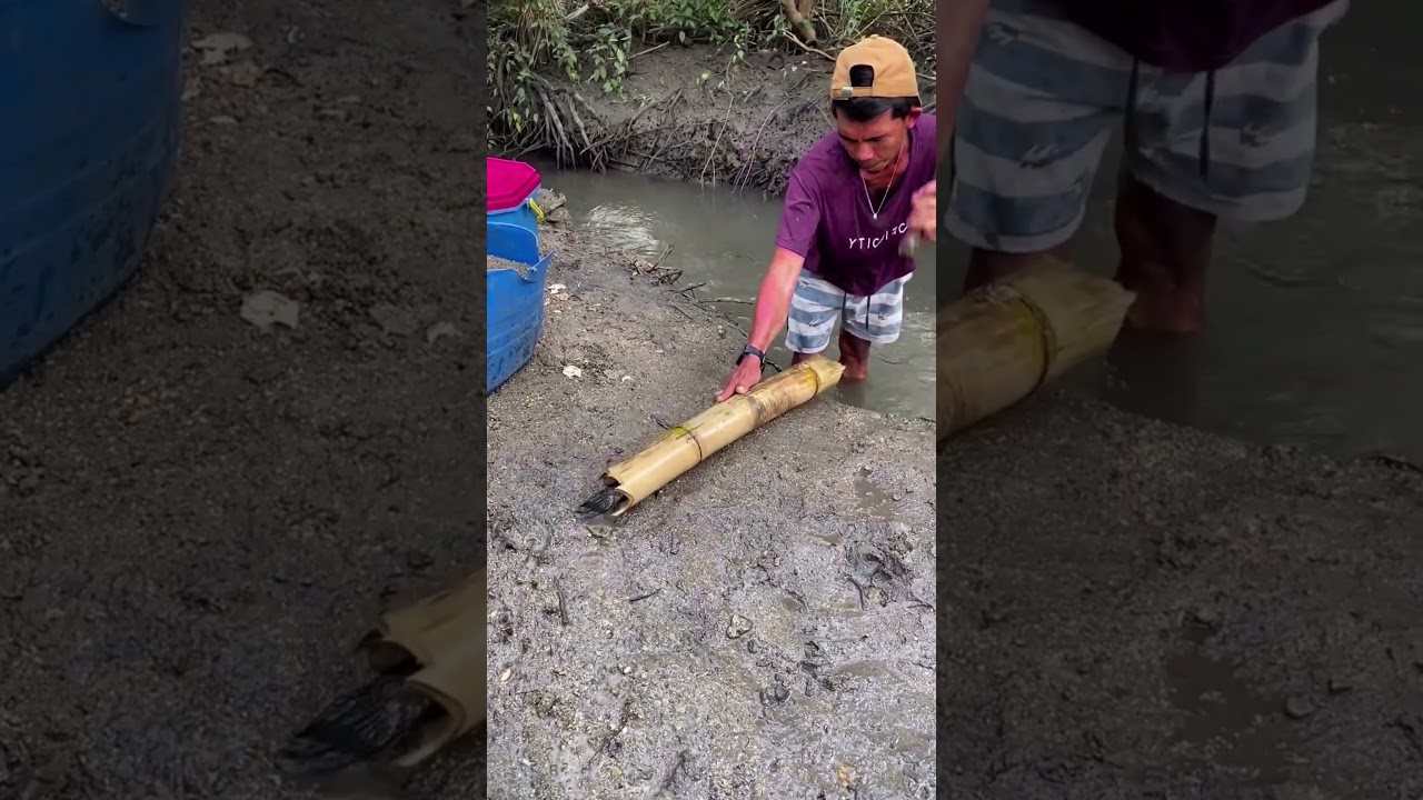 Giant Fish Caught by Hand! | Incredible Mud Fishing Adventure 🎣