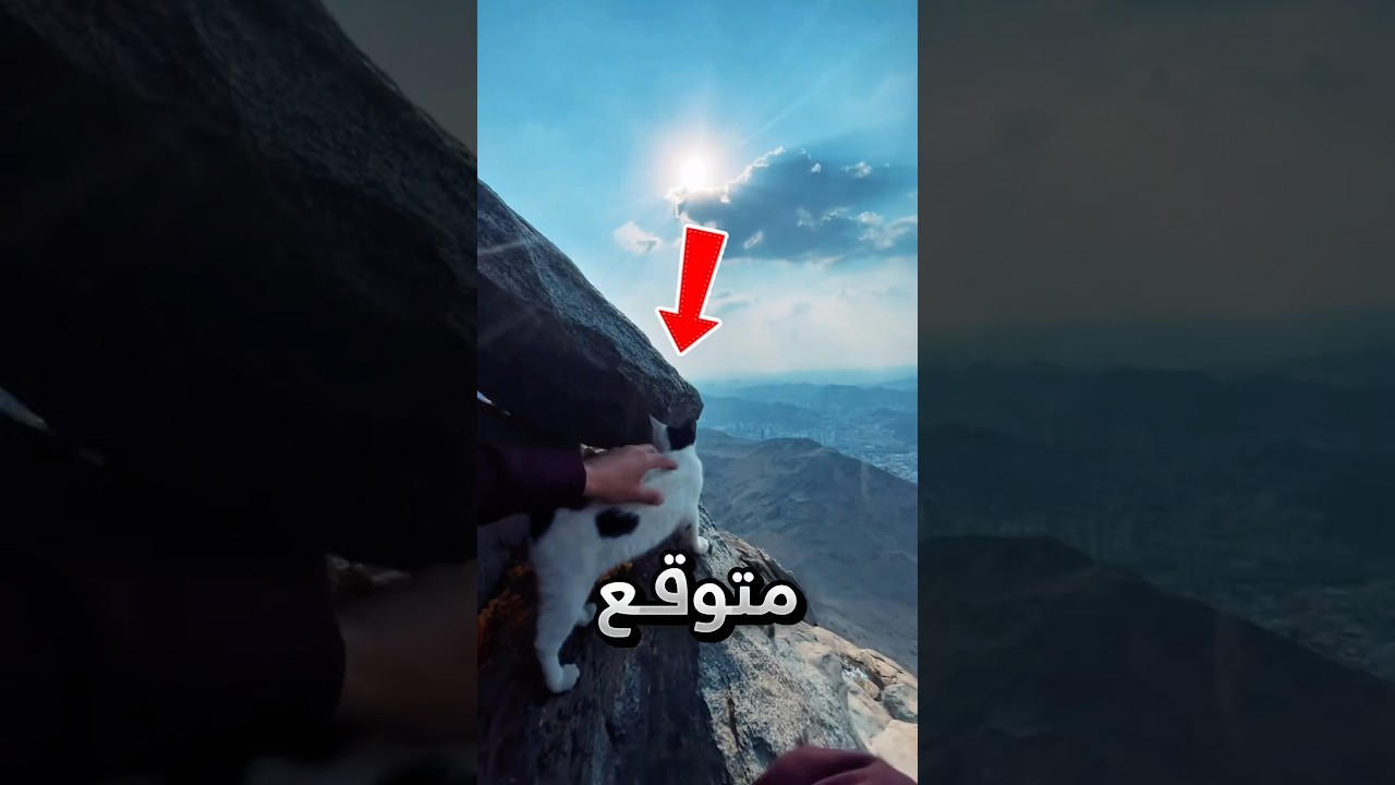 جاء قط ما يعرفه باتجاهه وهو بغار حراء !! #youtubeshorts