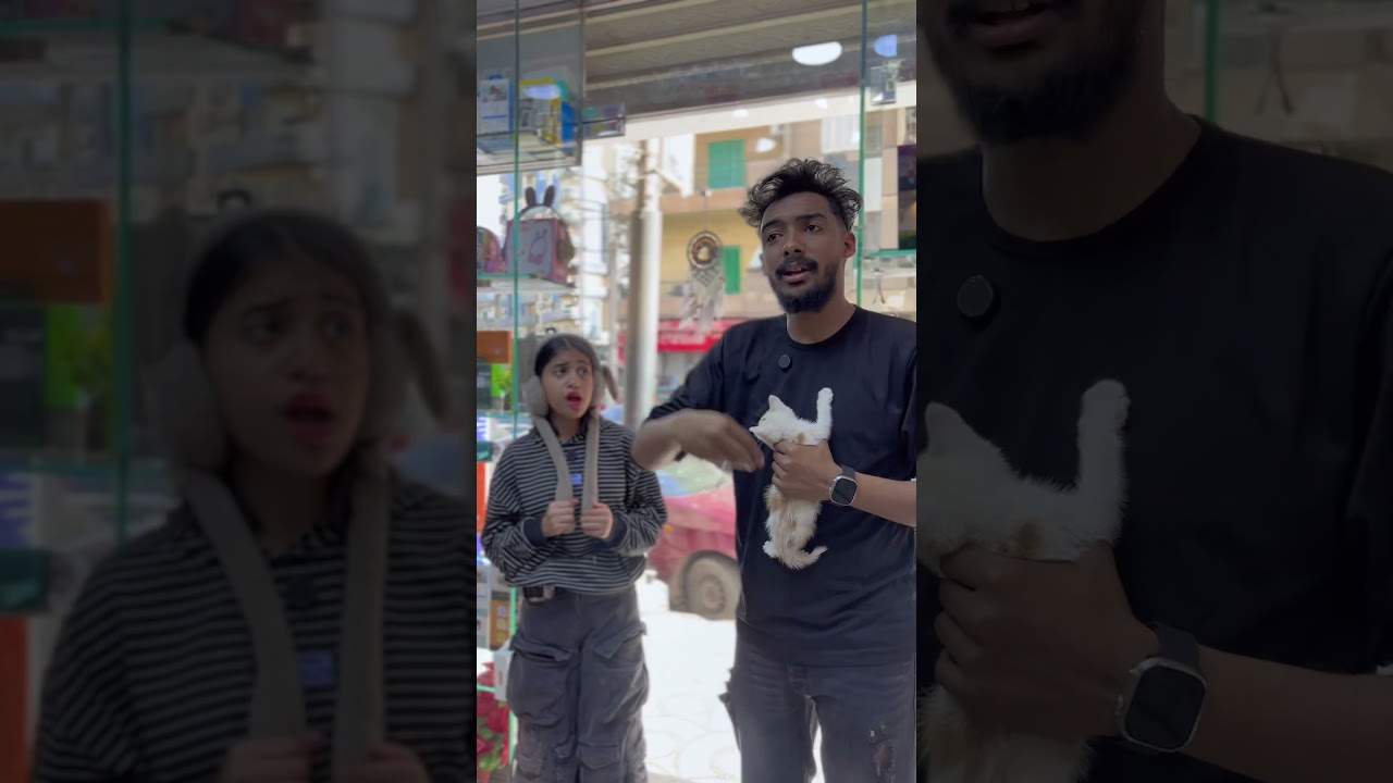 التليفون اصبح قطه