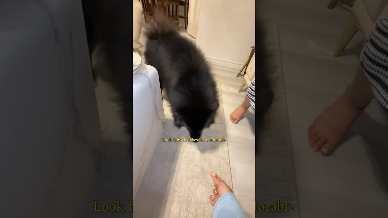 وصلت بيت صديقتي !!