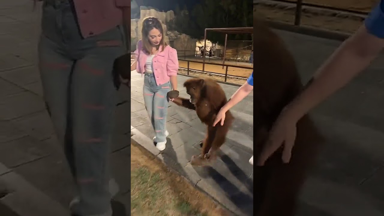 يلا بيسان خديها معك  ع البيت