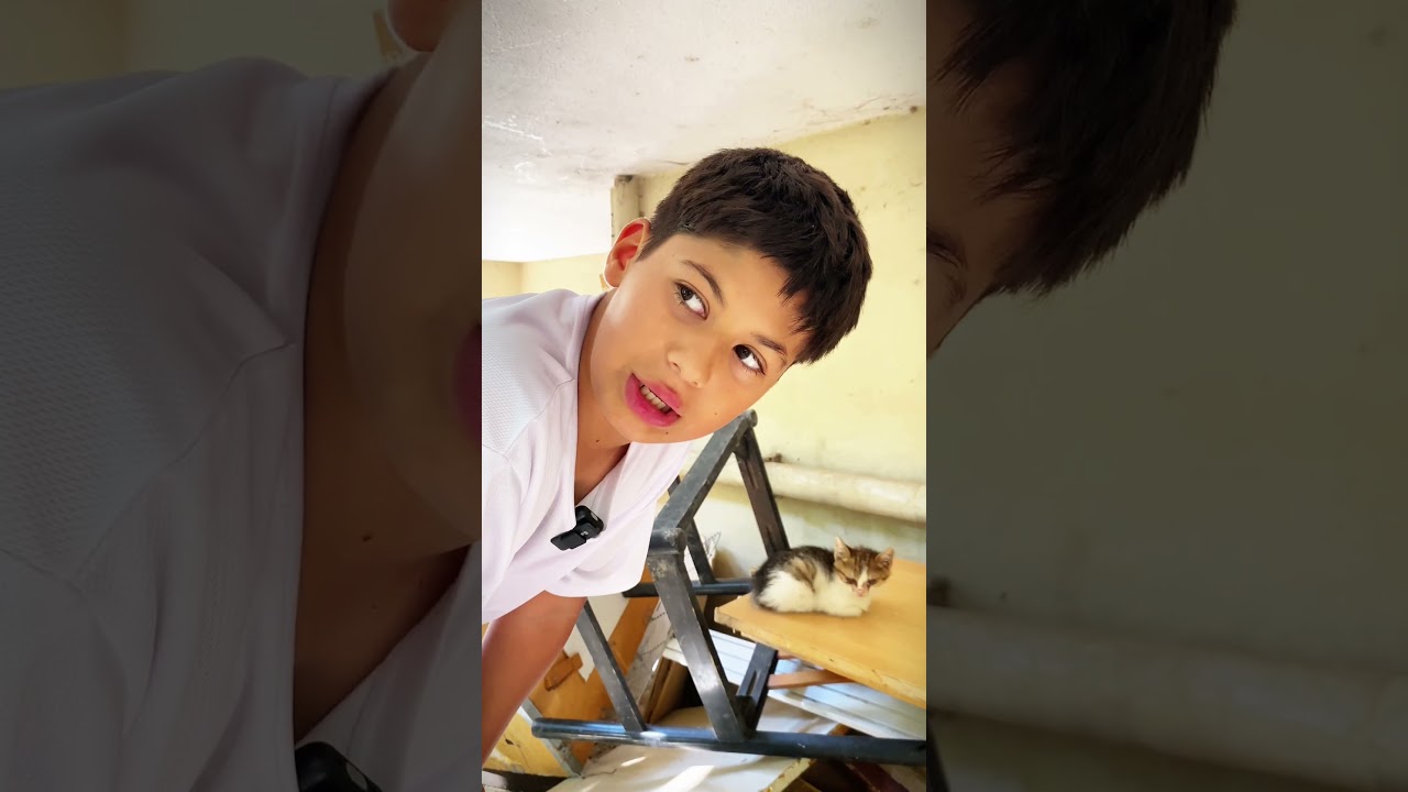 Minik kedinin gözlerine ne olmuş😔🐈 #shorts #shortvideo #youtubeshorts #kedi #sad