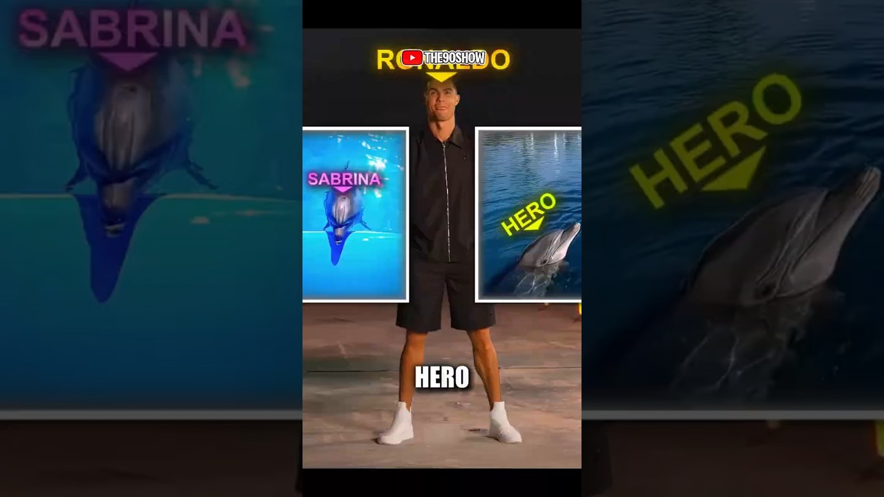 Roanaldo disuruh memlih fans sejatinya Sabrina atau Hero🐬⁉️