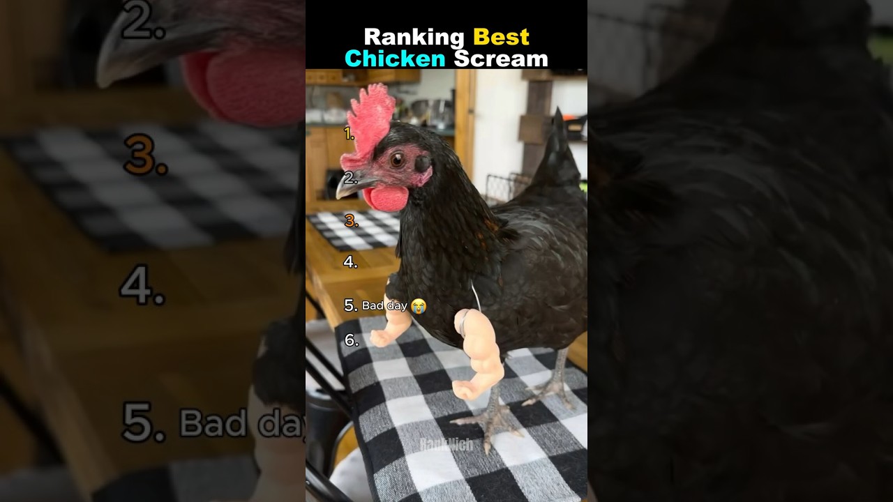Ranking Best Chicken Scream