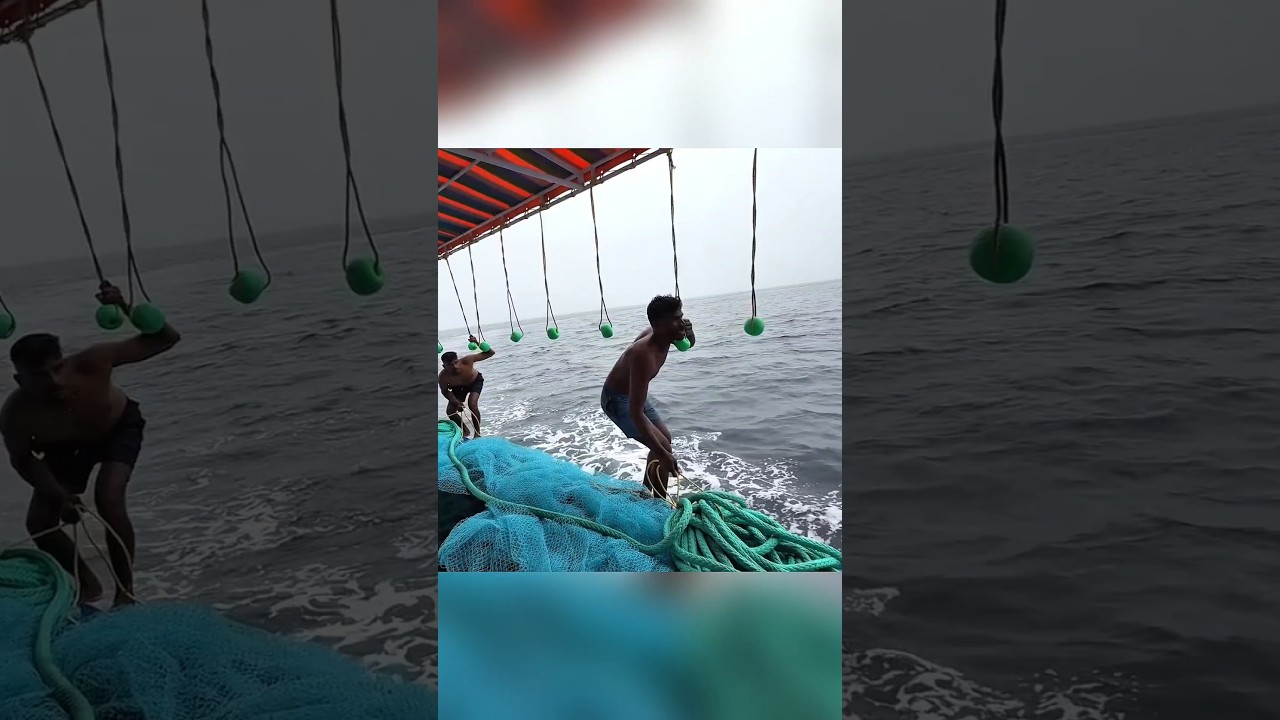 Metode Penangkapan Ikan Paling Ekstrem!🐟