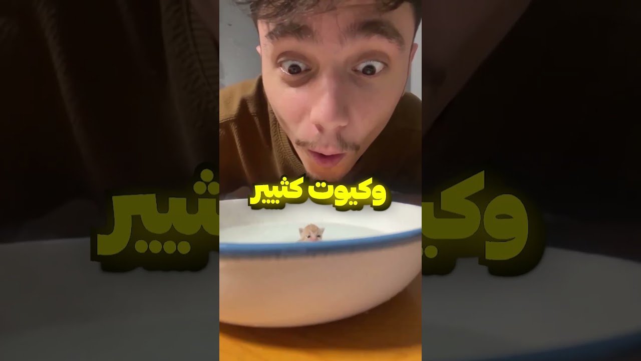 قطط كبسولات حقيقيه؟😂