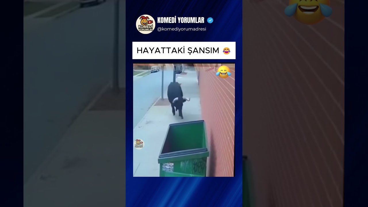 BENİM HAYATTAKİ ŞANS SEVİYEM 😂 #shorts #komikyorumlar