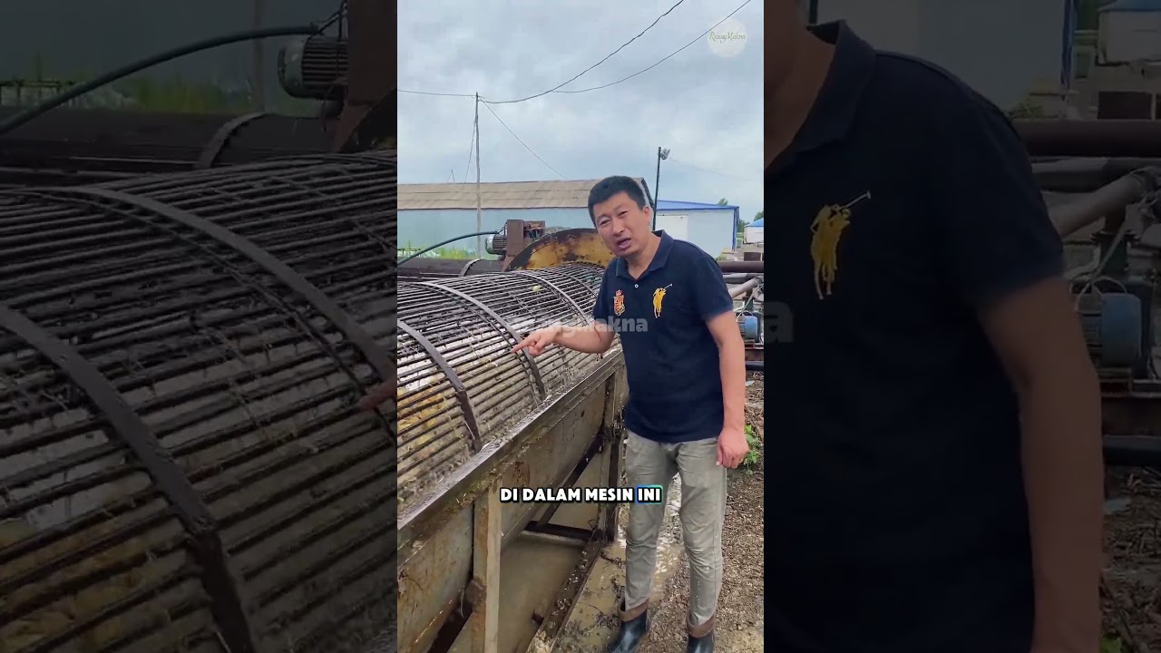 Ternyata seperti inilah proses pembersihan kentang yang jarang diketahui