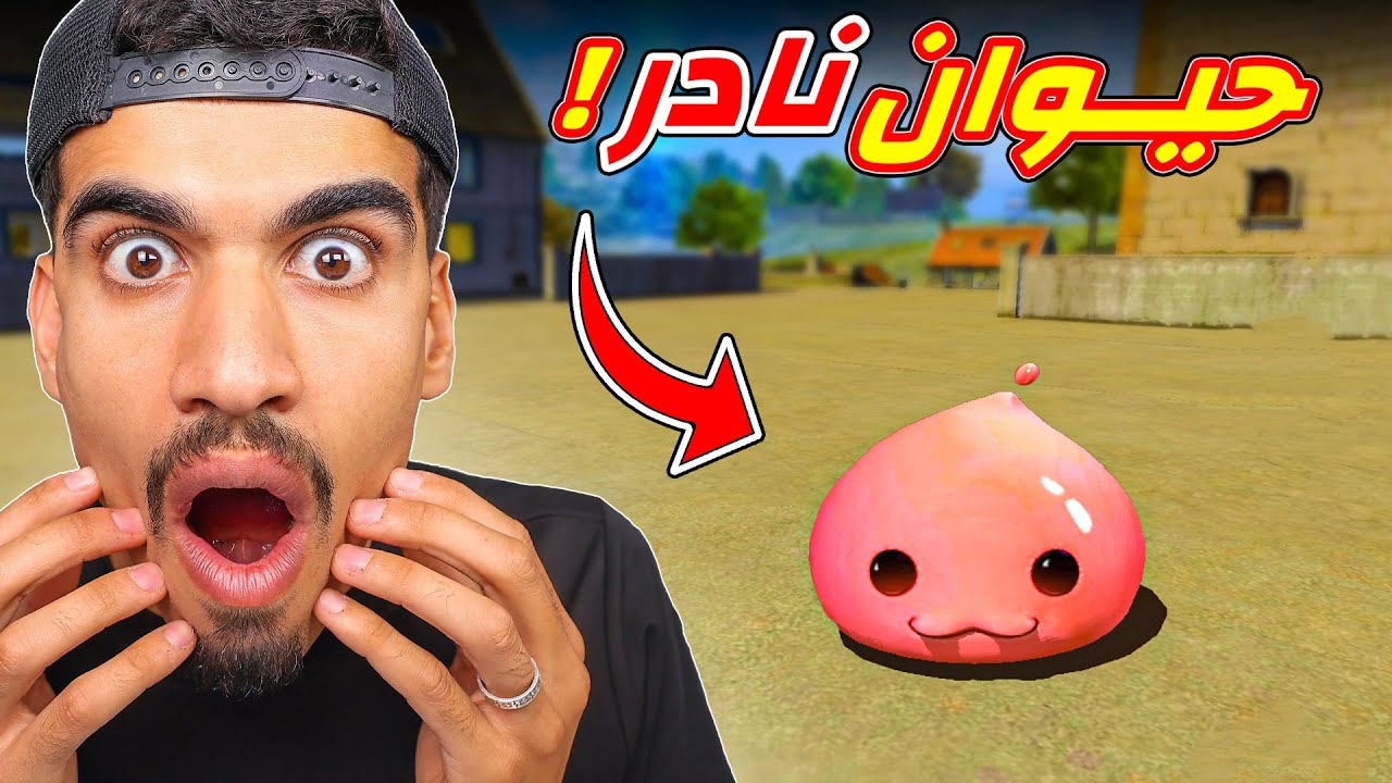 هذا الحيوان نادر جدا !!