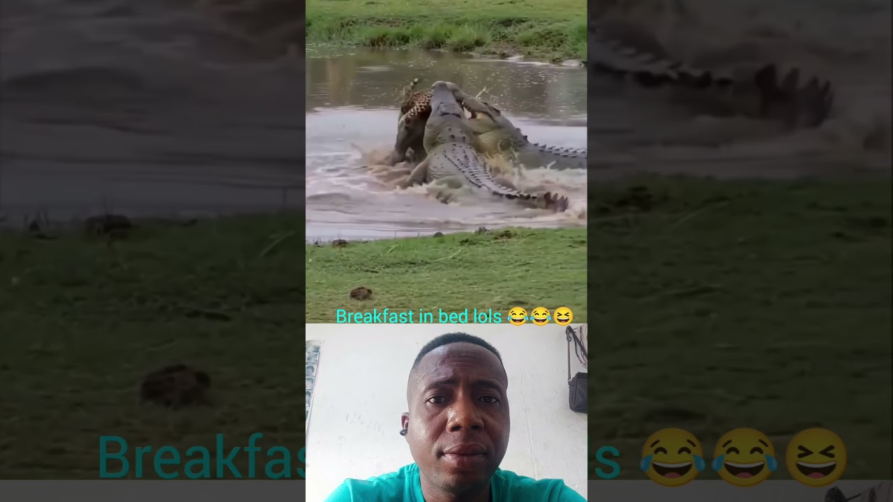 breakfast in bed well served #viralvideo #lifeisbutadream