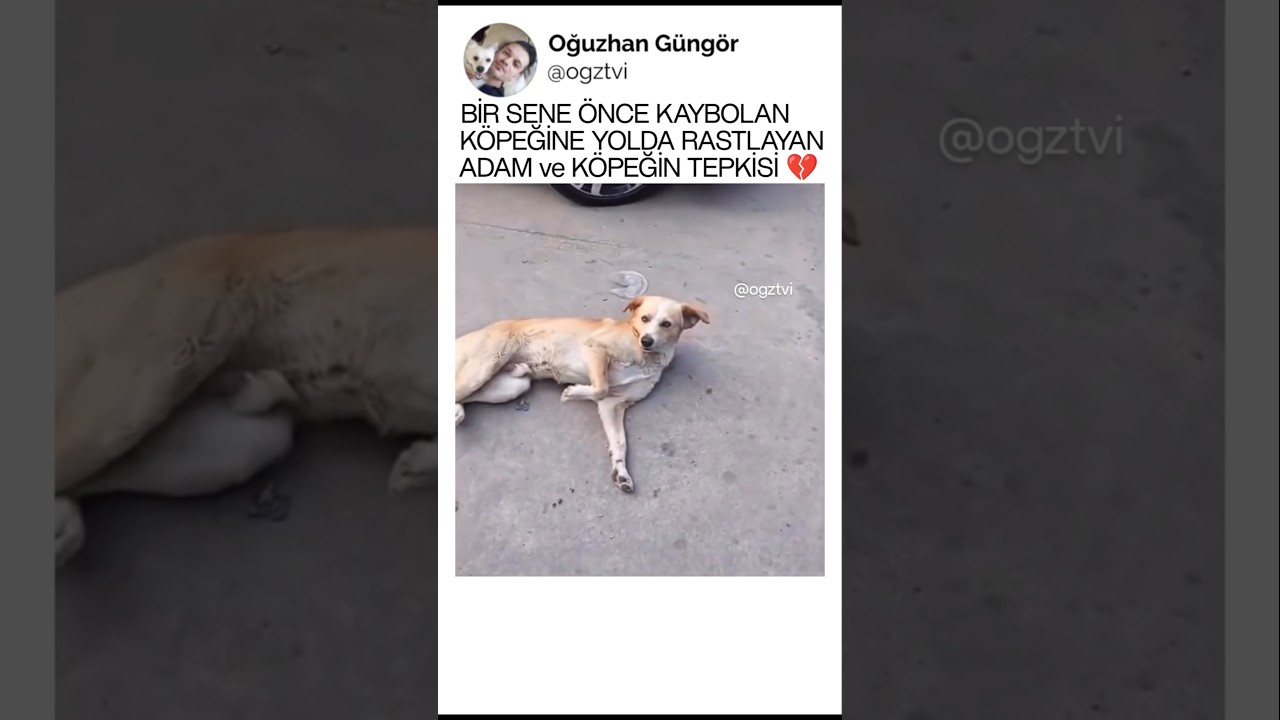 Göz yaşım pıt
