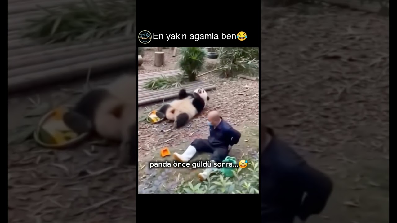 sonsuza kadar süren arkadaşlık😂