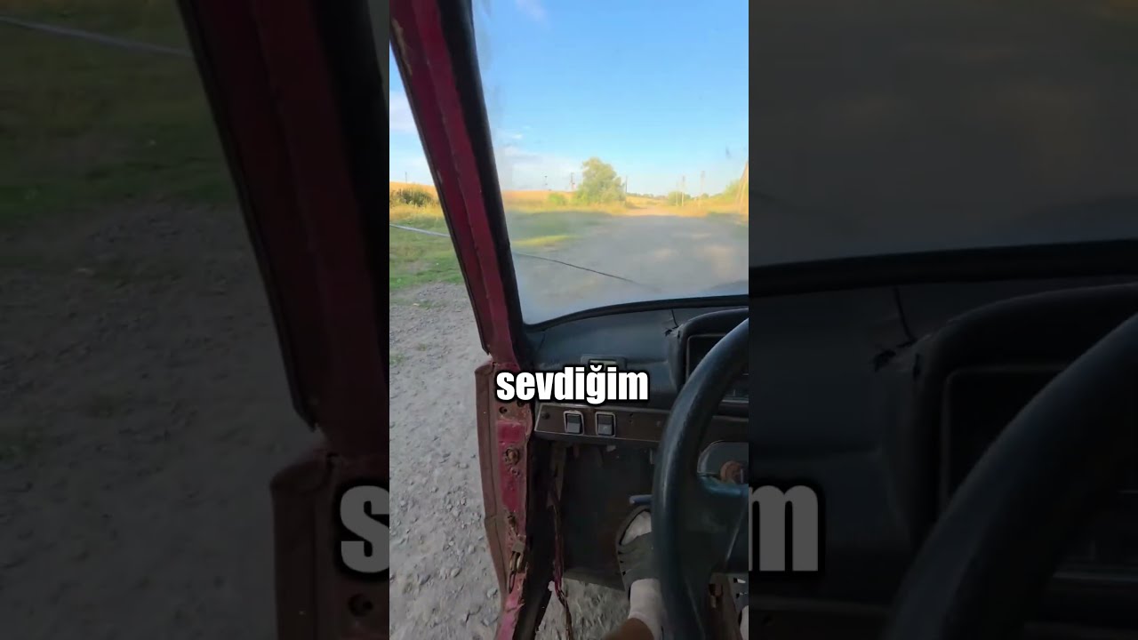 Sevgilime Evcil Hayvan Aldım!