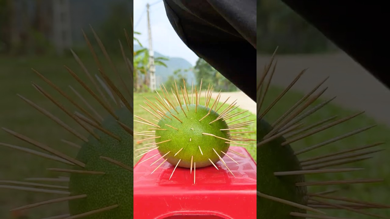 Sự thật phía sau LÒNG TỐT… 💔| Kindness Misunderstood