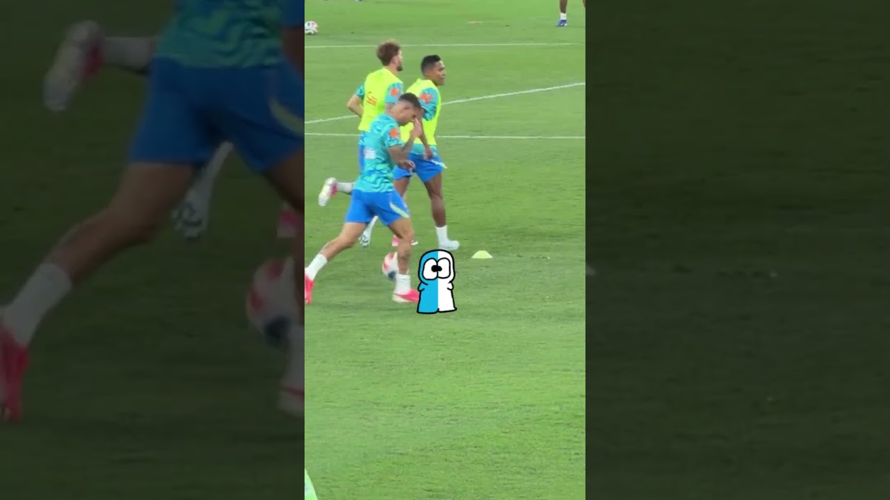 Levei o Pimgo assistir uma partida de futebol!