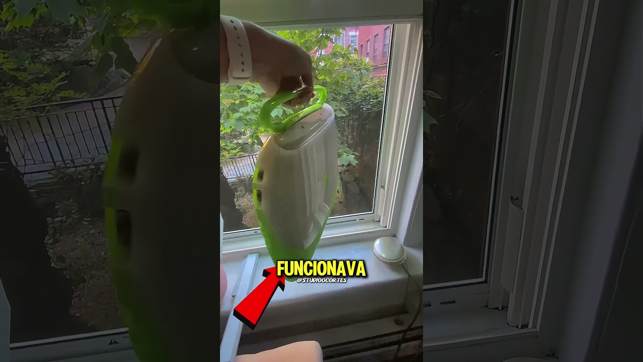 Ela Encontrou um Computador de 37 Anos… 😱
