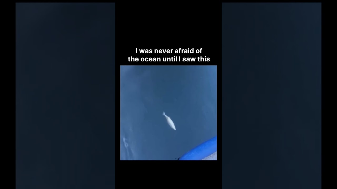 I was never afraid of the ocean until I saw this ❤️‍🩹 - Published by Endless Love