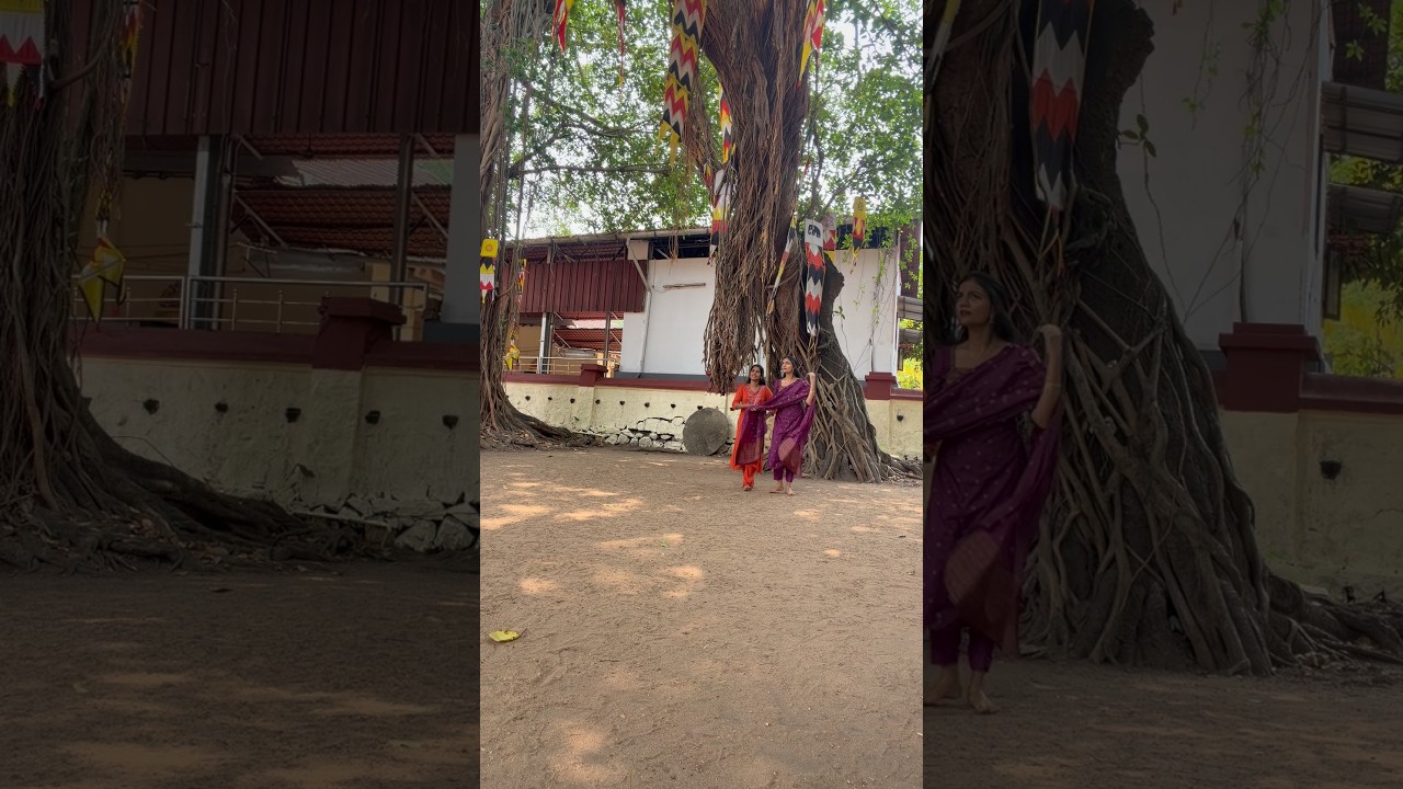 ഇങ്ങനെ ഒക്കെ പോയില്ലെങ്കിൽ ഞങ്ങൾക് വട്ടാവും 😎😎