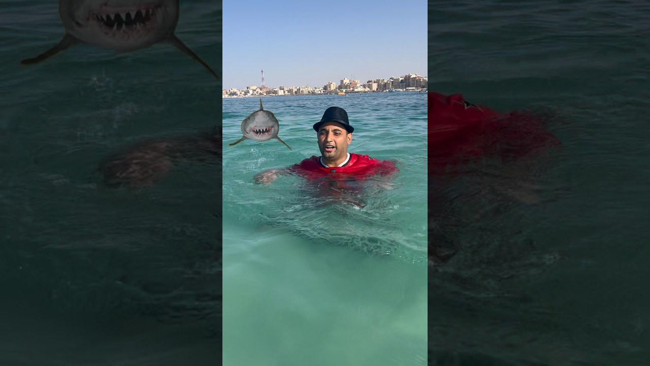 لما يطلع قرش 🦈 لكشري في البحر