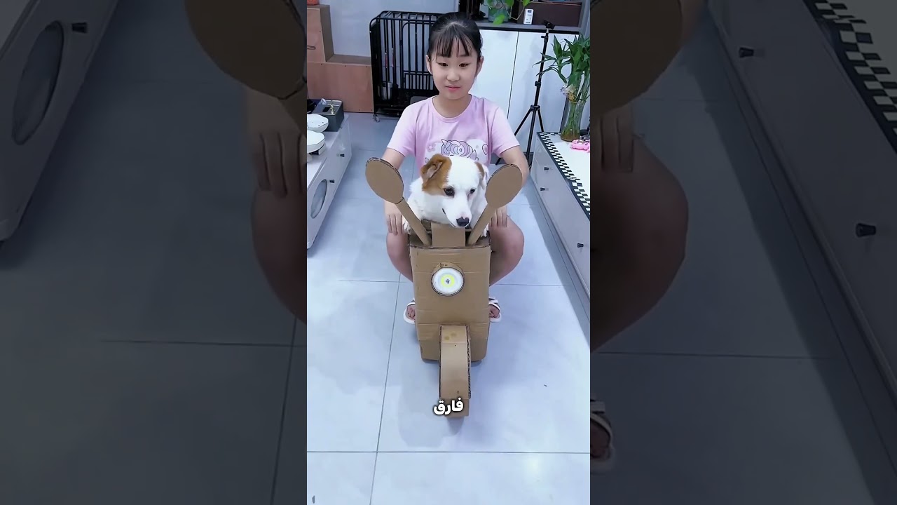 البنات VIP والولاد مالهمش قيمة! 😂🔥