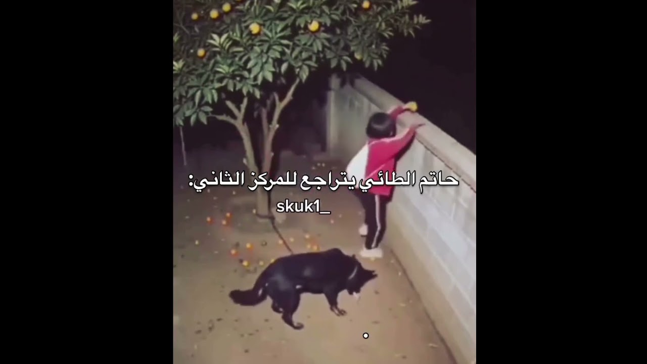 ستوريـات بنات كيـوت، ستوريـات بنـات انستـا كيـوت بـدون كتابـه فيديوهـات كيـوت بـدون حقـوق #اكسبلور