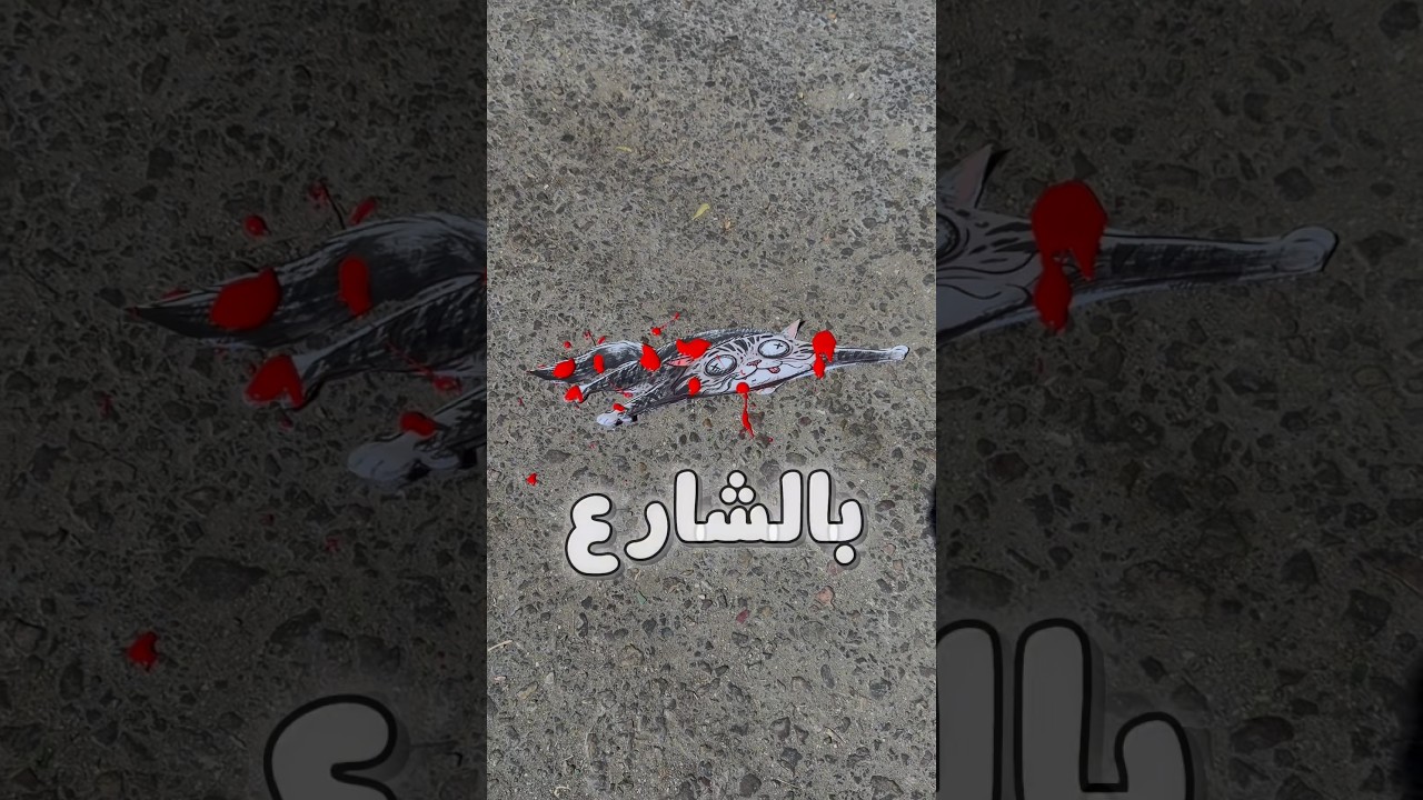 رسمت قطة مدعوسة ومقلبت أمي😂🔥