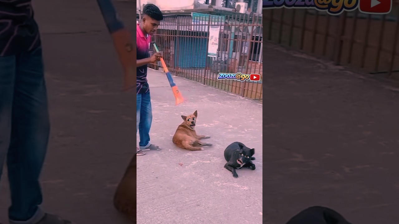 إلعب بعيد ياحبيبي 😂😂
