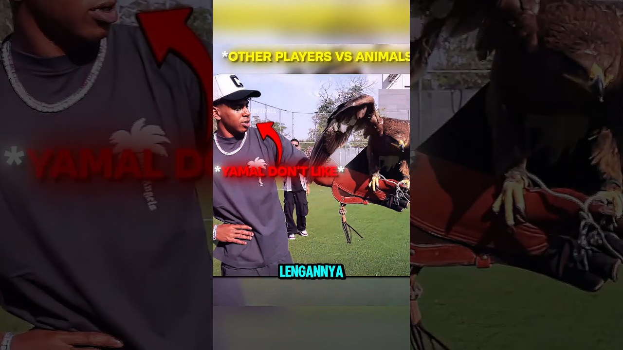 Ronaldo Tak Takut 🥶